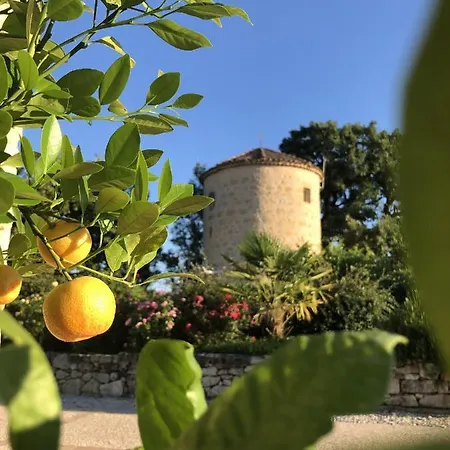 Moulin De La Jalousie Nyaraló Terraube